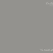the quiet light by prestige