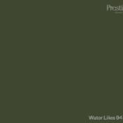 water lilies by prestige