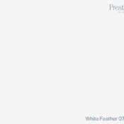 white feather by prestige