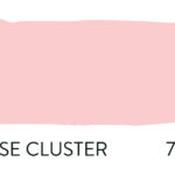 rose cluster no.717 by paint and paper library