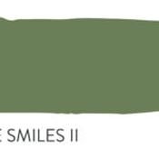 apple smiles ii by paint and paper library