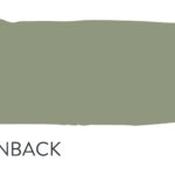 greenback no.579 by paint and paper library
