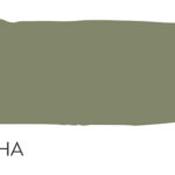 sencha no.569 by paint and paper library