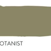 the botanist no.574 by paint and paper library