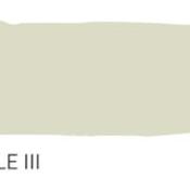 wattle iii (wattle 3) no.563 by paint and paper library image