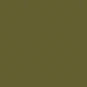 wild olive by fired earth