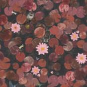 lily pads wallpaper mural by little greene image