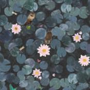 lily pads wallpaper mural by little greene image