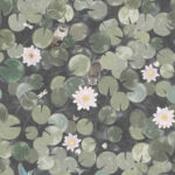 lily pads wallpaper mural by little greene image