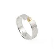Narrow Eclipse Ring image
