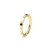 Flush Set Flat Diamond Band image
