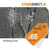 Holding Dust image