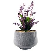 Leaf Design UK LTD - Ceramic Planter Office Desk Plant Purple Vitex Negundo 28cm image