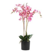 Leaf Design UK LTD - Artificial Orchid Flower 60cm Pink Orchid Arrangement