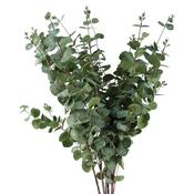 Leaf Design UK LTD - Pack of 6 x Artificial Foliage Eucalyptus Foliage 100cm