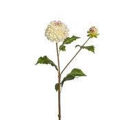 Sia Deco - Dahlia CANDICE