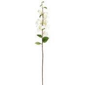 Sia Deco - Bougainvillier VERONA H71