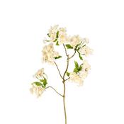 White Blossoms 53cm