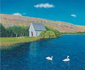 Gougane Barra image