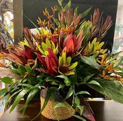 A Protea Flower Hessian display (65cm High) image