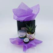 Something Pretty (Glengariff) - Gift Box