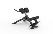 Strengthmax Platinum Series Back Extension
