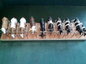 Cattle Cubicles
