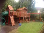 Tree House Rex image