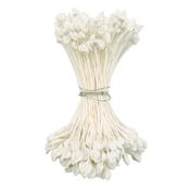 White Medium Pointed Dull Stamens