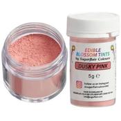 Blossom Tint Dusky Pink 5g