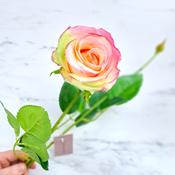 62cm Rose &amp; Bud