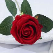 SUGAR SISTERS -  Rose 1 Stem - Red Red