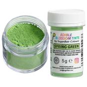 Blossom Tint Spring Green 5g