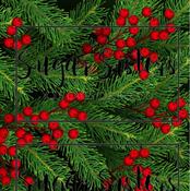 Christmas Green Wrap  Edible Image