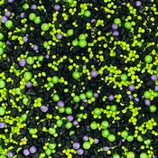 SUGAR SISTERS - Witches Brew Sprinkle  Mix 80g image