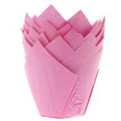 Pink Tulip Cases Pk 36 HOM