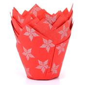 Red Silver  Poinsettia Tulip Cases Pk 36 HOM