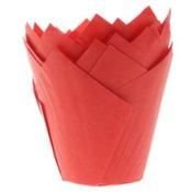 Red  Tulip Cases Pk 36 HOM image