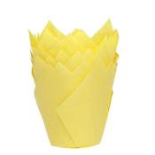 Yellow  Tulip Cases Pk 36 HOM