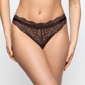 Musea Rio Brief | Autumn Bloom