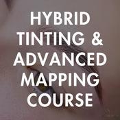 Pro Hybrid Tinting &amp; Advanced Mapping Course