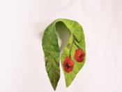Felt Leaf Scarf Poppy Flower