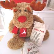 Personalised Reindeer Food Bag