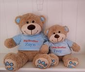 Tshirt Teddy Set for Big Brother &amp;amp; Little Brother
