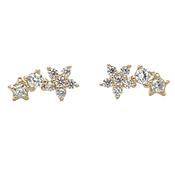 9ct Yellow Gold Flower And Round Cz Stud Earrings image