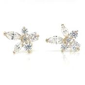 9ct Yellow Gold Multi Cut Cz Stud Earrings image