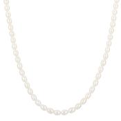 Ania Haie Gold Pearl Beaded Necklace