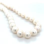 Sterling Silver &amp; 7.5-8mm Freshwater Cultured Pearl 17" Necklace image