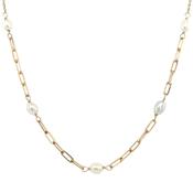 9ct Yellow Gold Paperclip &amp; Freshwater Pearl Necklace