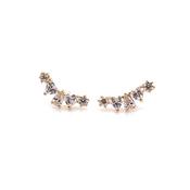 9ct Yellow Gold Mixed Shape Creeper Fan Earrings image
